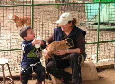 החווה של חוה-מקום לימי הולדת לילדים