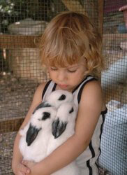 ספארי חושים-גן חיות בצפון