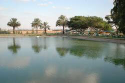 חמי יואב-אטרקציה למשפחה