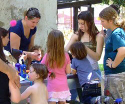 פינות יצירה-פינת חי ארץ יהודה