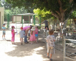 גברעם פינת חי אתר לגדול