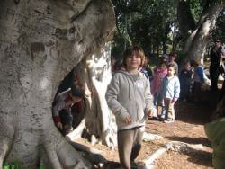 עוברים בעץ-חוויה וטבע