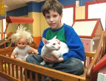 חתולים בבית חלומותי