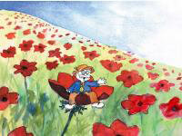 מירי לשם פלאי