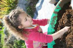 קייטנה בחווה האקולוגית יבולים