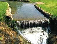 חורשת טל-רשות הטבע והגנים