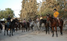 רכיבה על סוסים לילדים ולמבוגרים-חוות ורד הגליל דרום הגולן