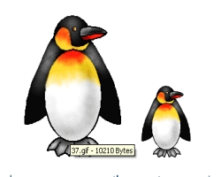 יניב המגניב