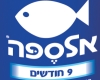 אלספה 9 חודשים