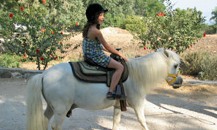 רכיבה על סוסים לילדים ולמשפחה-חוות ורד הגליל
