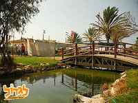 פארק הדייג מעין צבי